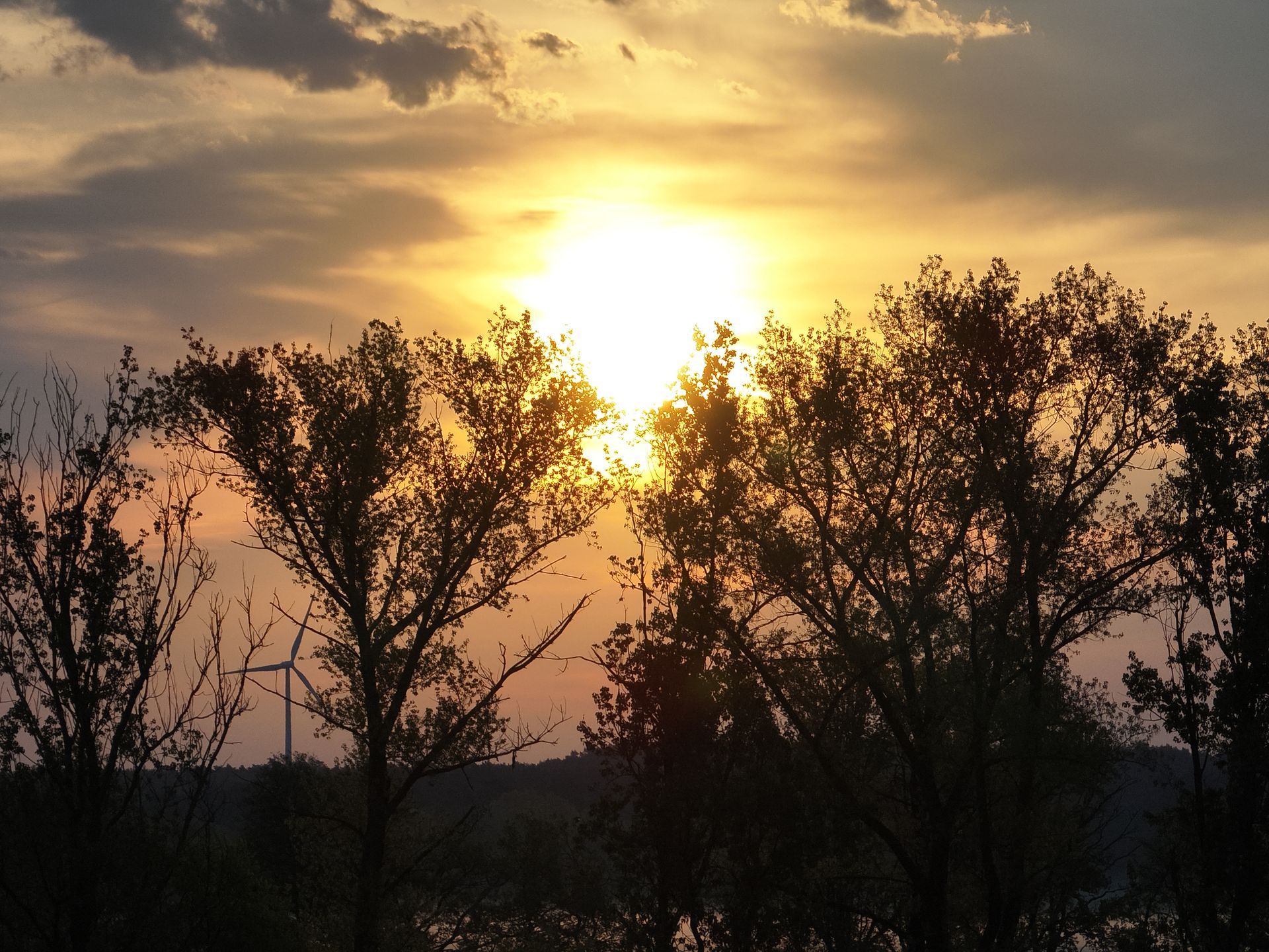 Sonnenuntergang über den Baumsilhouetten; helle Sonne scheint durch die Wolken.