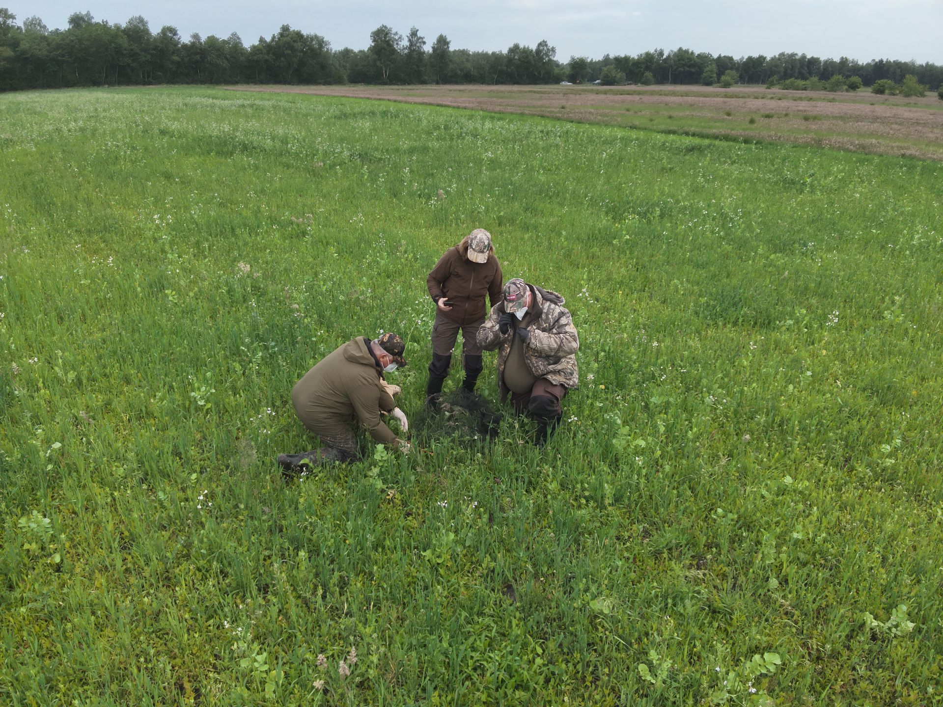Vier Personen untersuchen auf einem Feld etwas auf dem Boden; im Hintergrund grünes Gras und Bäume.