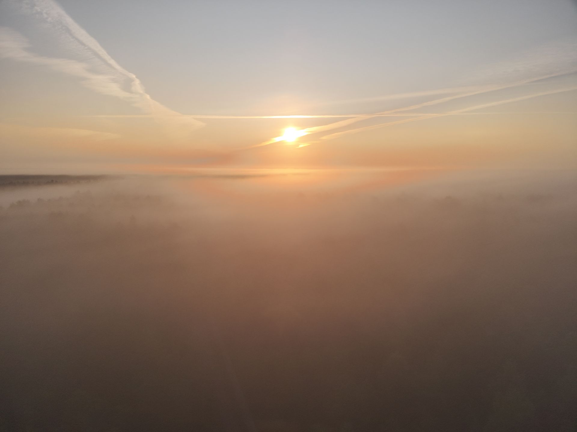 Sonnenaufgang über einer dichten Nebelschicht, die Sonne als helle Kugel am orangefarbenen Himmel.
