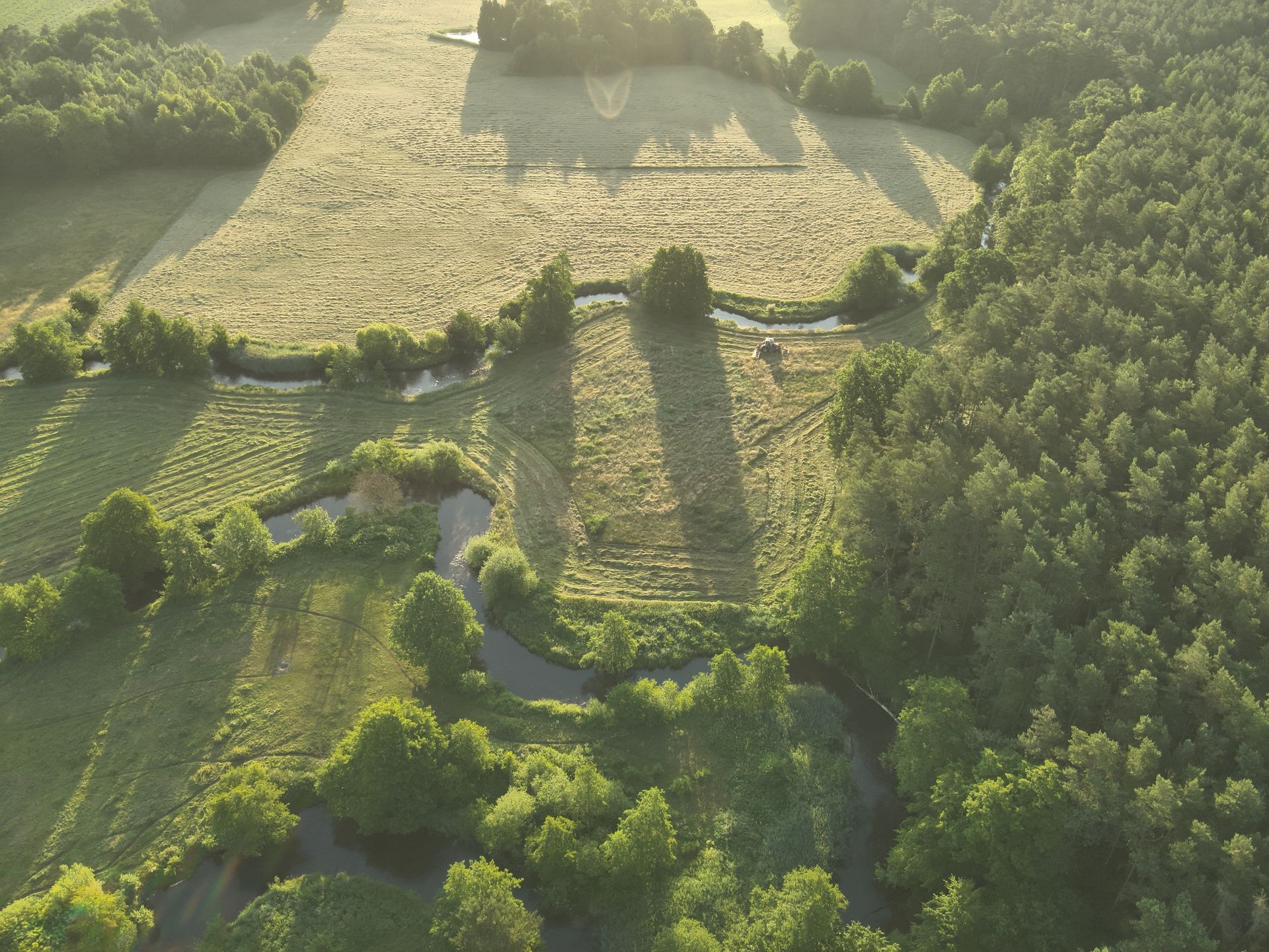 Luftaufnahme eines gewundenen Flusses durch grüne Felder und Wälder, beleuchtet von der Sonne.