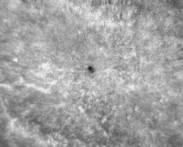 Schwarz-weiß strukturierte Oberfläche mit einem kleinen, dunklen Fleck in der Mitte.