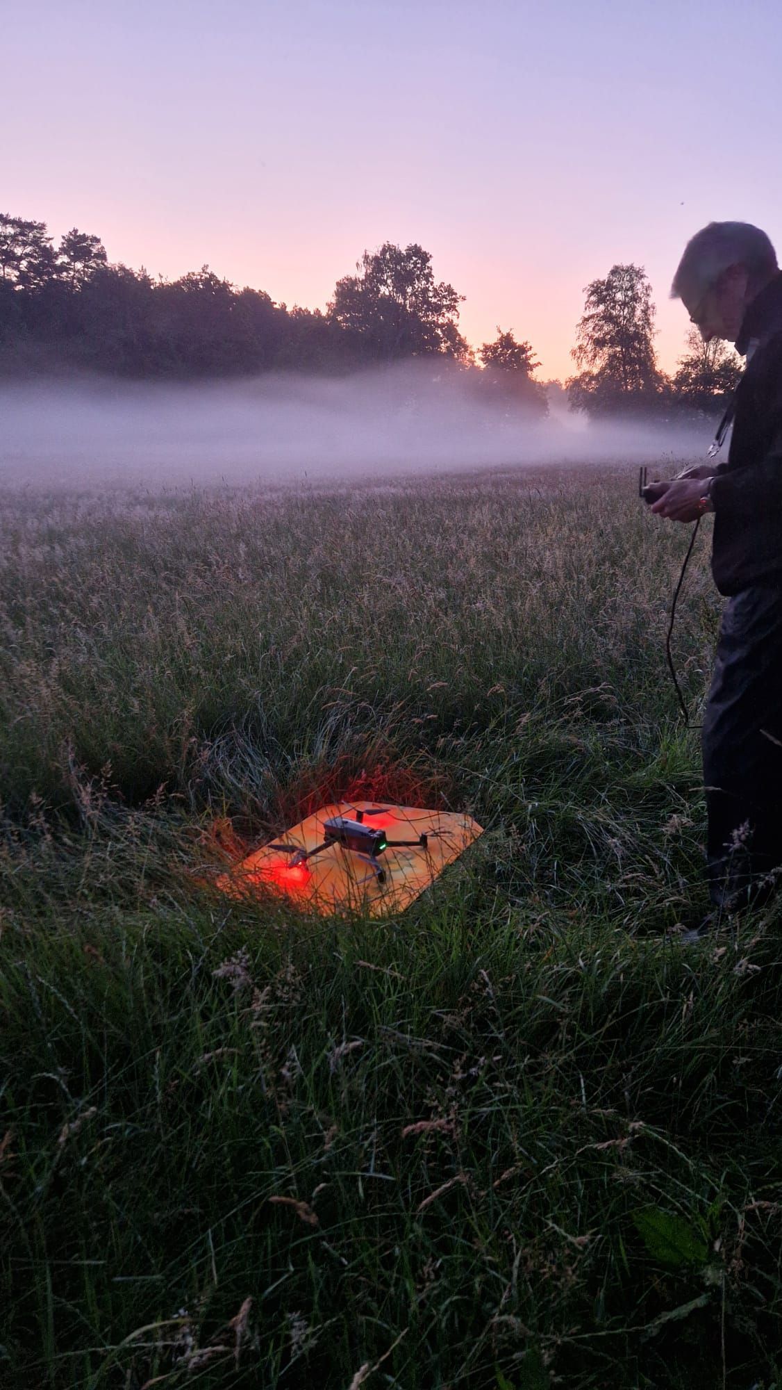 Person steuert Drohne in der Morgendämmerung auf einem Feld. 