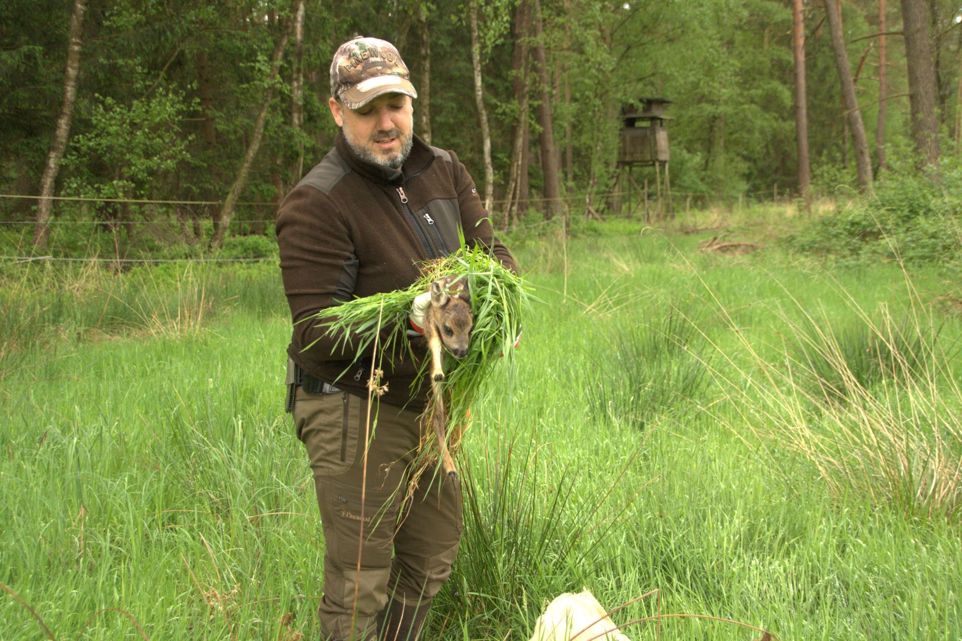 Mann in einem Wald hält einen Grasbüschel, wahrscheinlich inspiziert er ihn; hohes grünes Gras umgibt ihn.