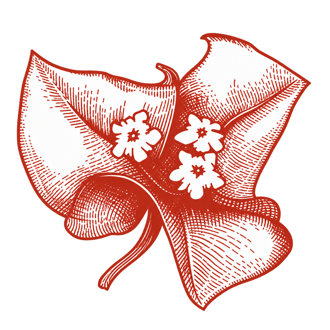 Ilustración de línea roja de tres flores y dos hojas en forma de corazón sobre un fondo blanco