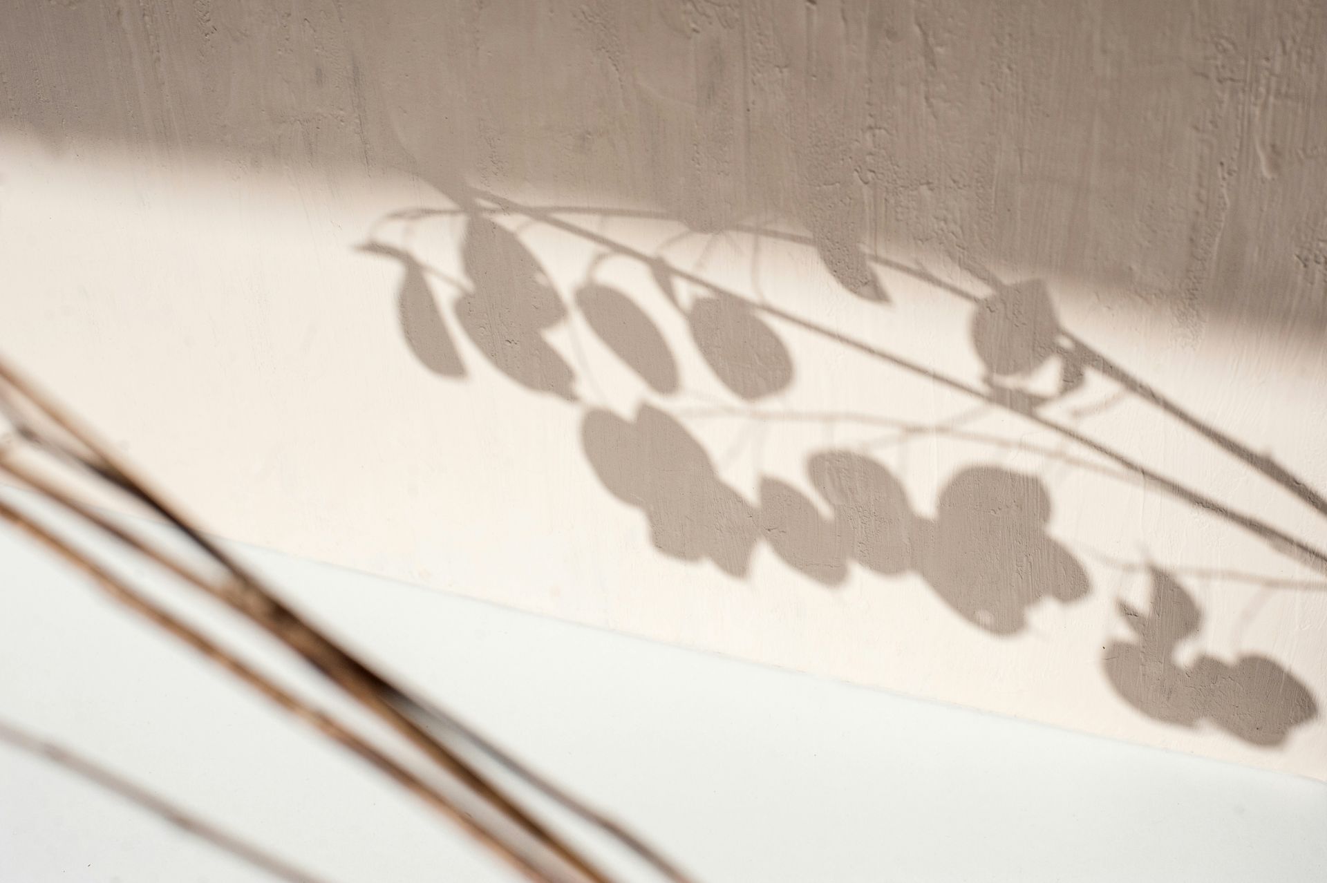 Ombre de branches feuillues projetée sur un mur beige ensoleillé, avec une moulure blanche en bas.