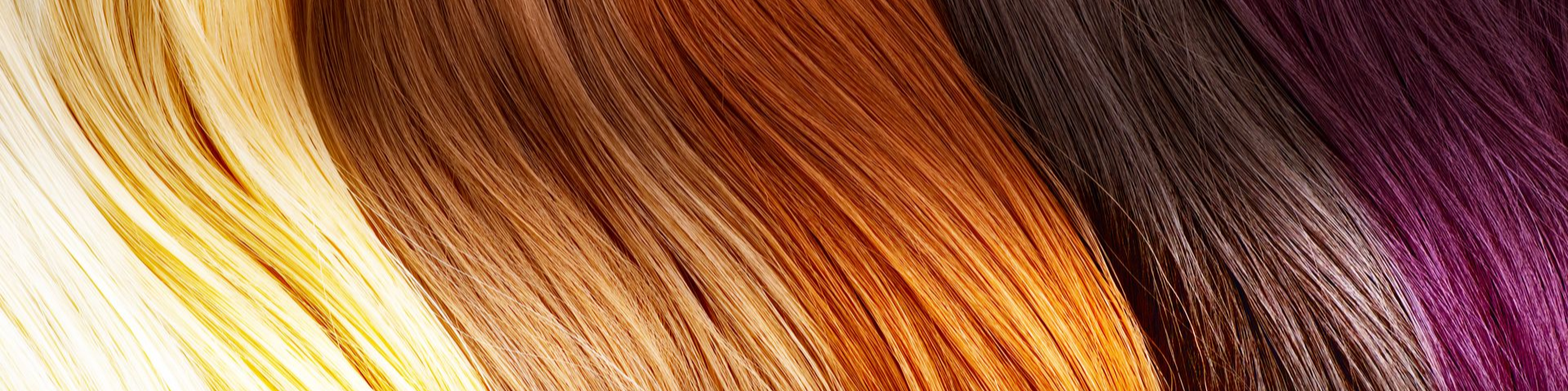 Verschieden Haarfarben als Verlauf von hell zu dunkel: Zusammen entdecken wir Ihren Haarersatz in Ihrer Haarfarbe.
