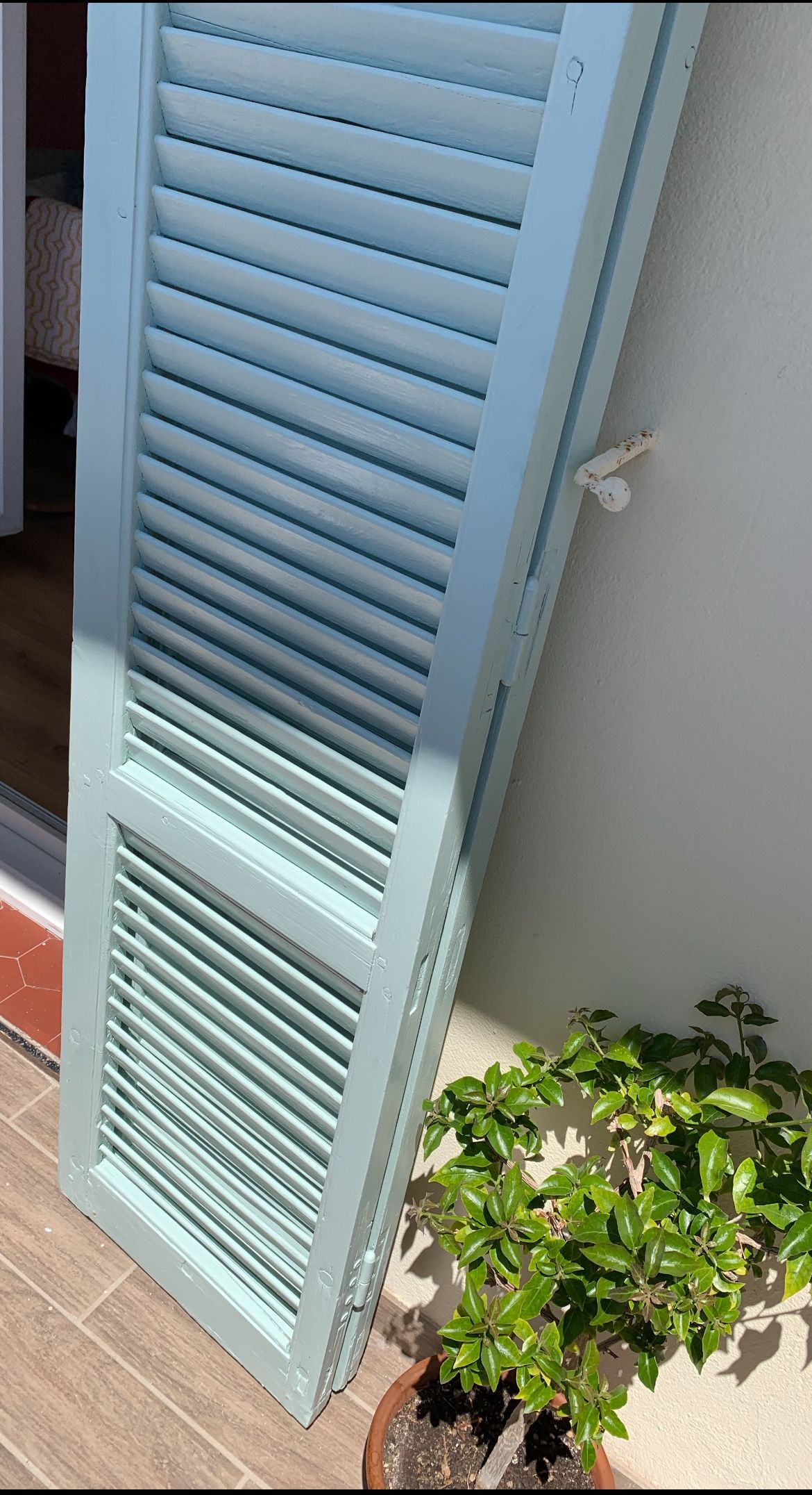 Volet en bois bleu-vert appuyé contre un mur blanc près d'une petite plante en pot.