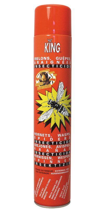 Eine rote Dose Insektenvernichterspray