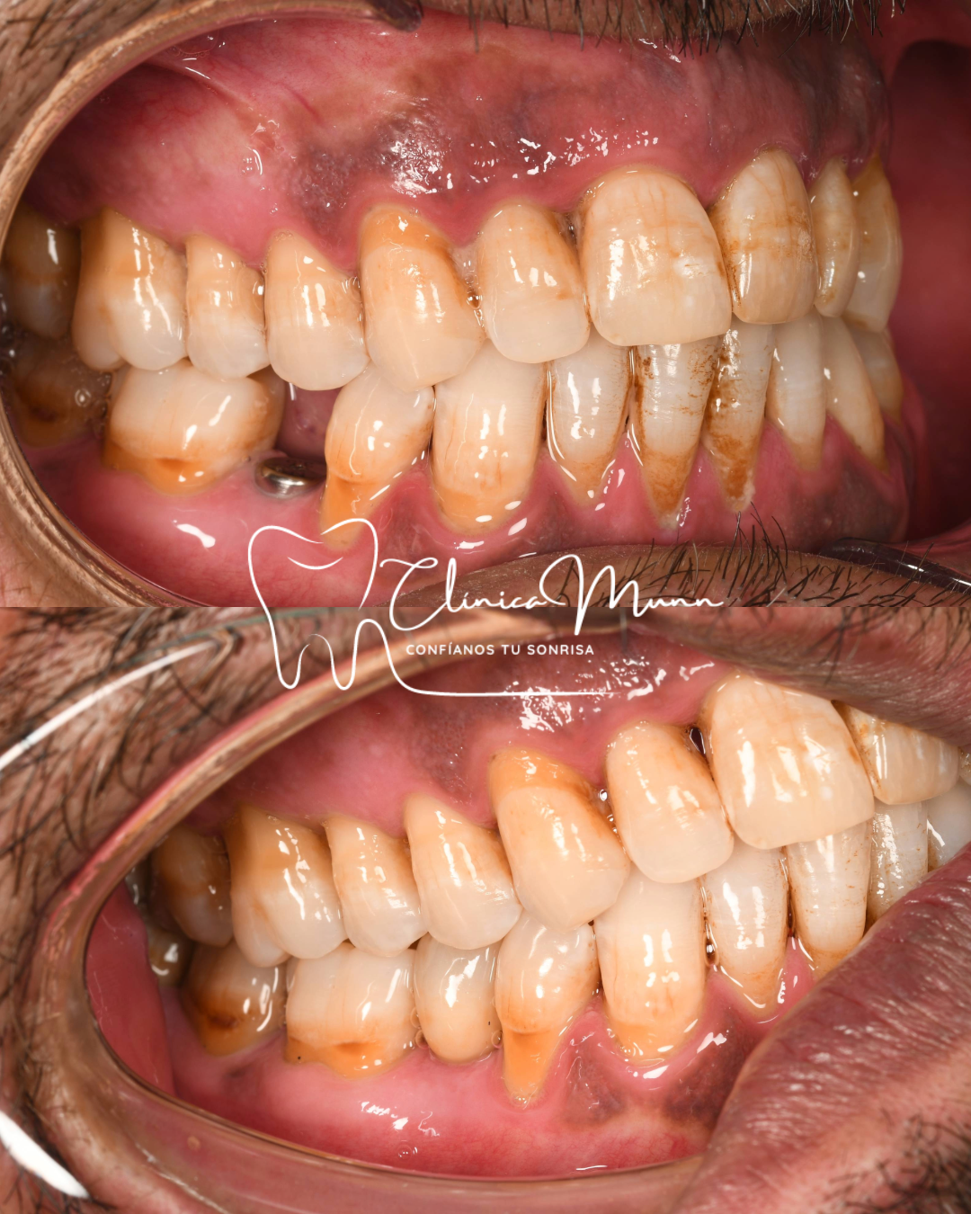 odontologia profesional