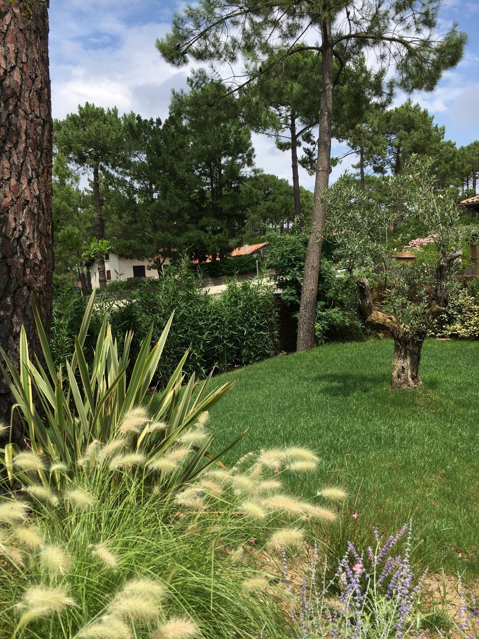 Création paysagère