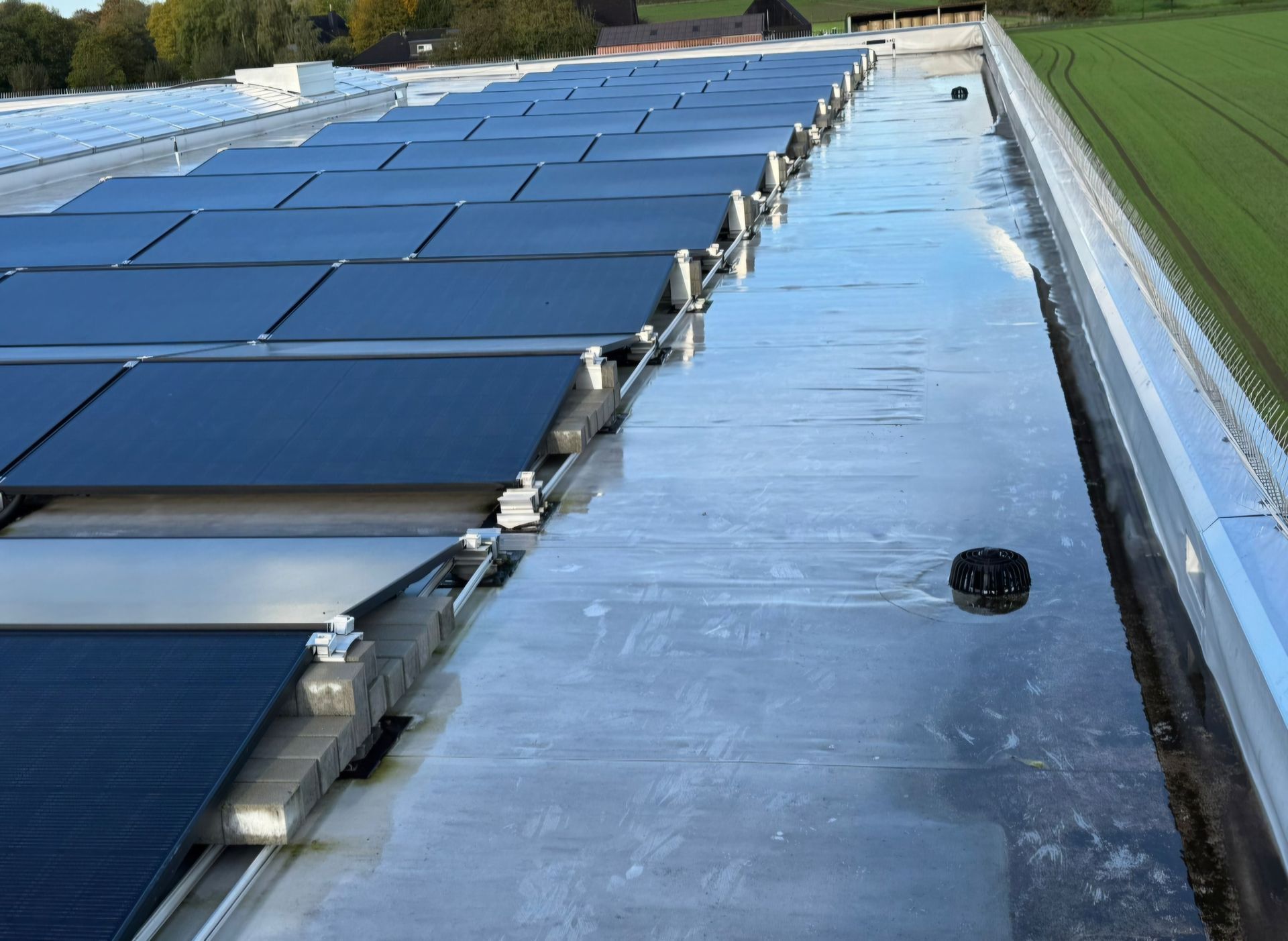 Solarpaneele auf einem reflektierenden Flachdach, angrenzend an eine Grünfläche und ein Gebäude.