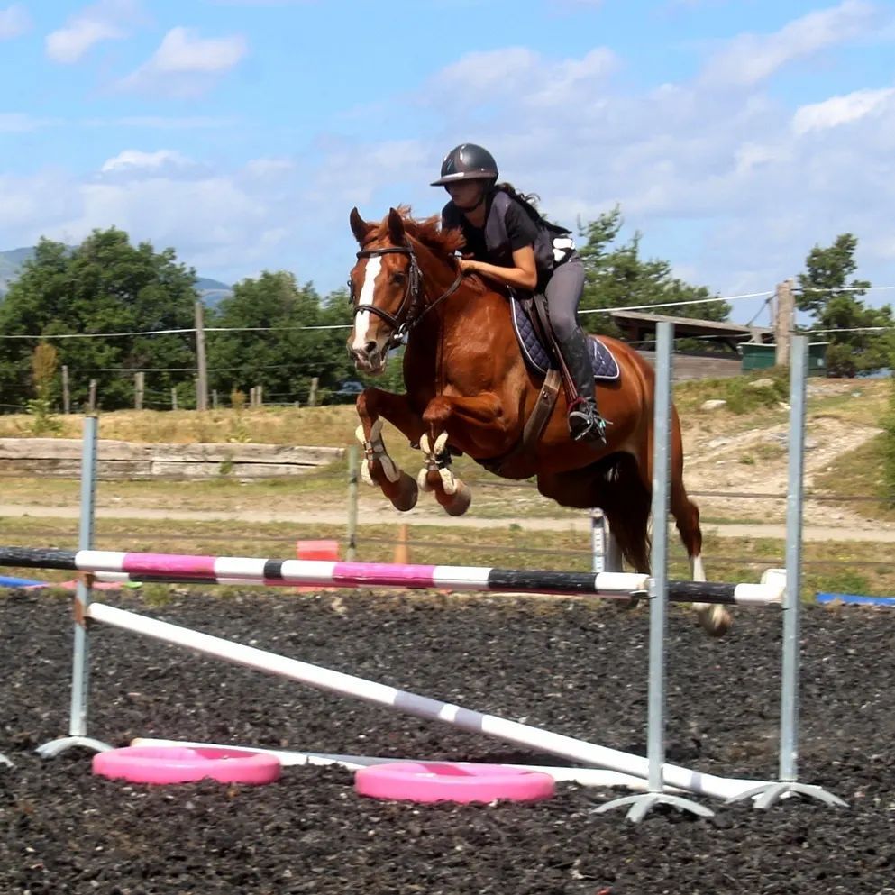 Un cavalier sur un cheval brun saute un obstacle rose et blanc dans une arène extérieure