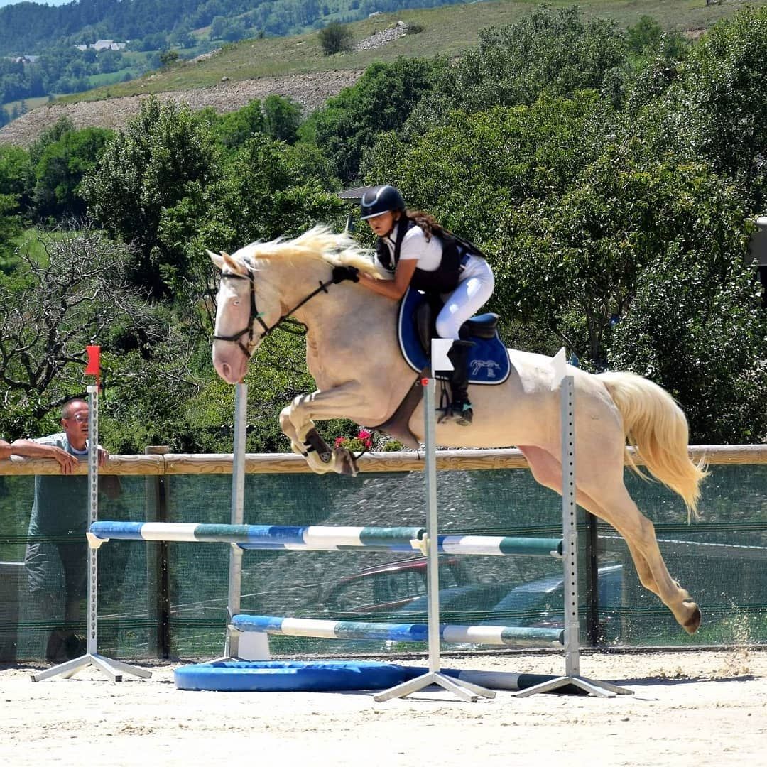 Un cavalier fait sauter un cheval crème par-dessus un obstacle dans un manège extérieur.