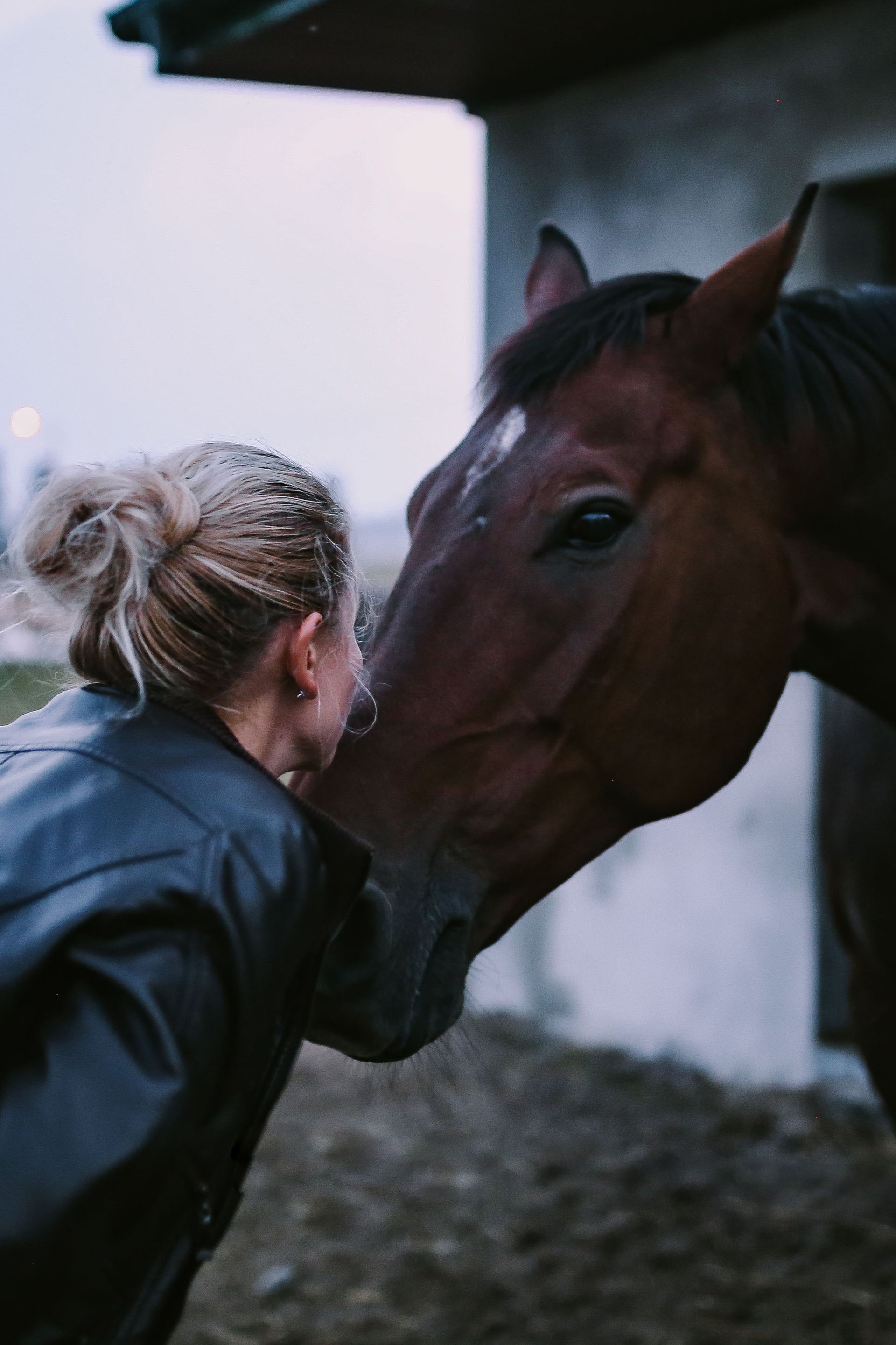 Une femme en veste noire caresse un cheval brun dans l'embrasure de la porte d'une écurie.