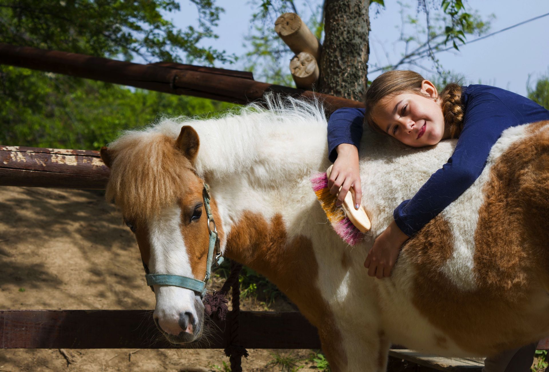 Quatre petits poneys au pelage brun et blanc se tiennent côte à côte dans un pâturage boueux, près d'une clôture.