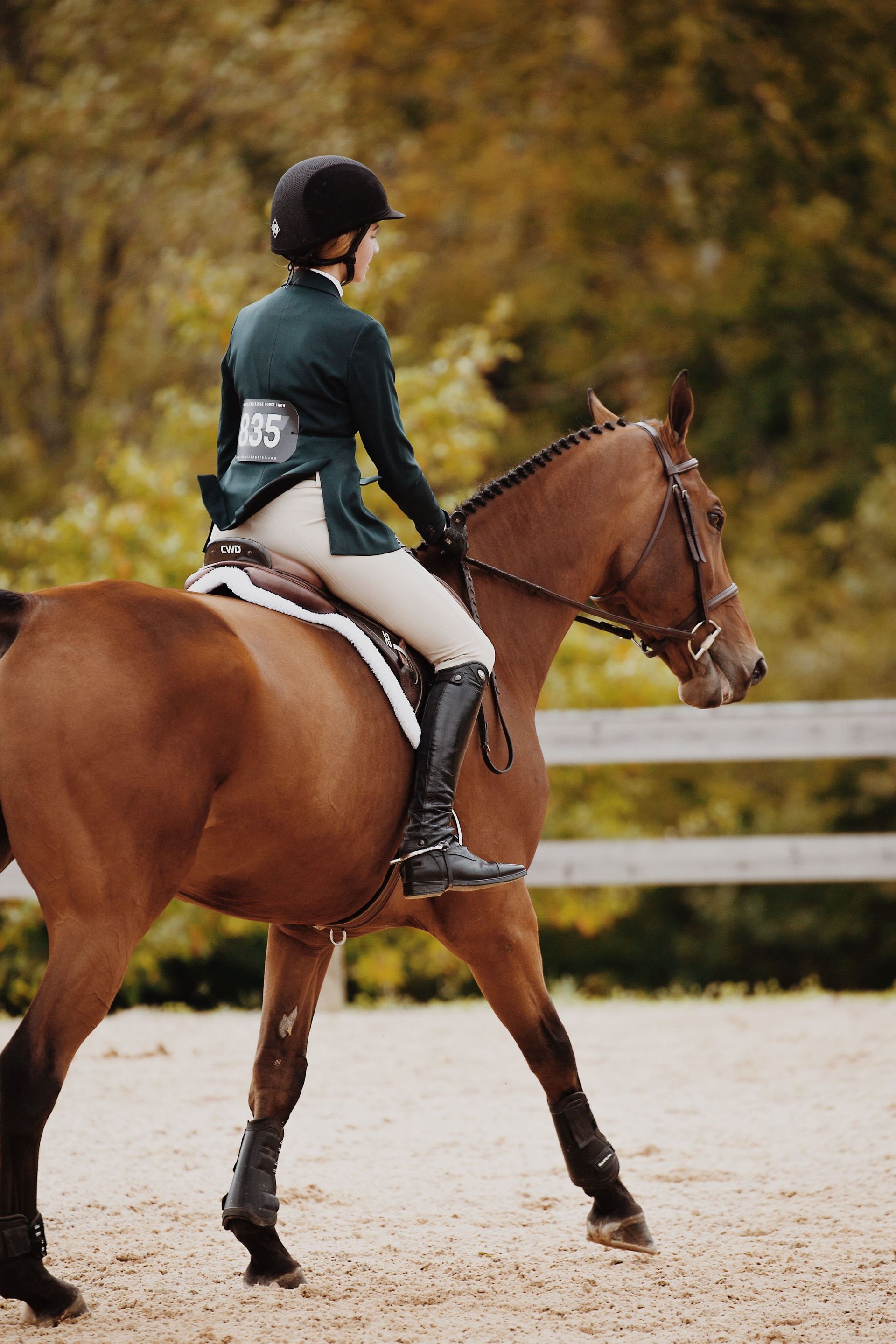 Cavalier sur un cheval alezan dans un manège extérieur, portant un casque et une veste d'équitation sombre