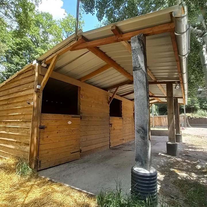 Abri extérieur en bois avec toit en tôle ondulée et poteaux de soutien dans une zone boisée