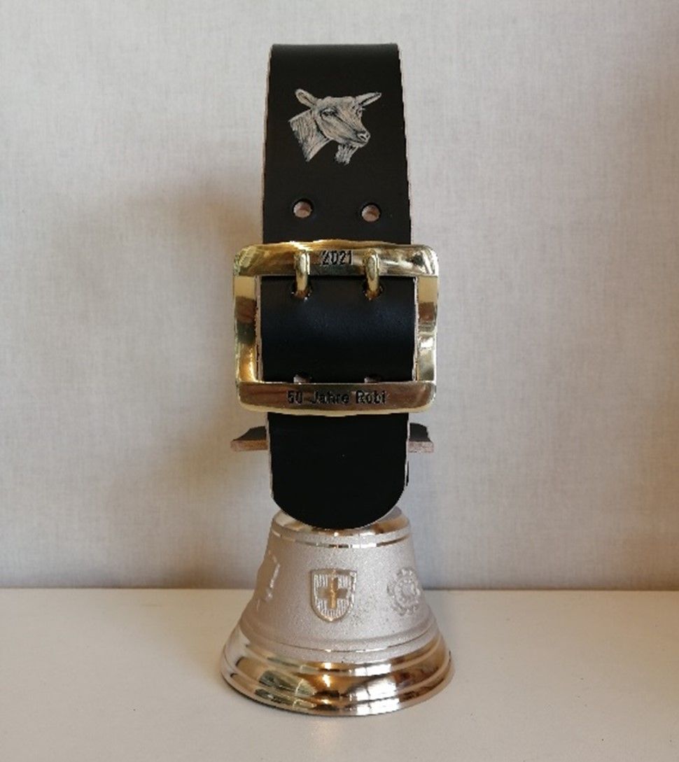 Ein schwarzer Gürtel mit einer silbernen Schnalle sitzt auf einer silbernen Glocke