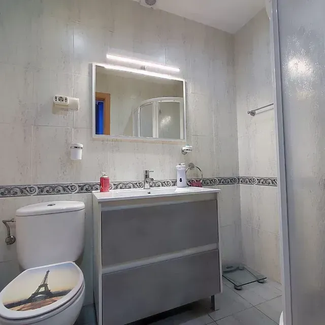 Un baño con inodoro, lavabo, espejo y ducha.