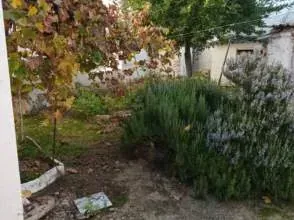 Un jardín con árboles y arbustos delante de una casa.