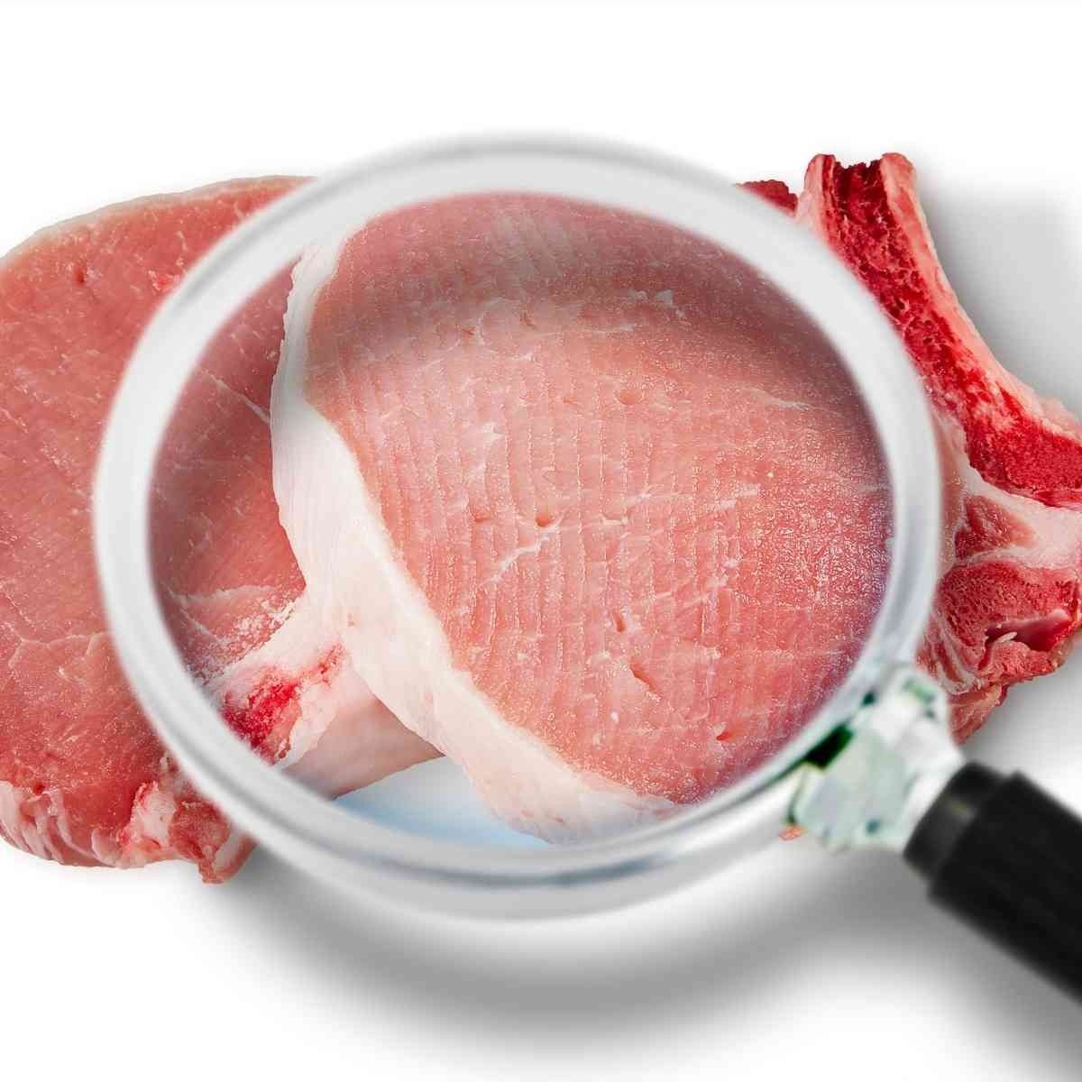 Se examina un trozo de carne a través de una lupa.