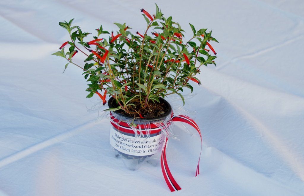 Samariter Glarus - Riedern