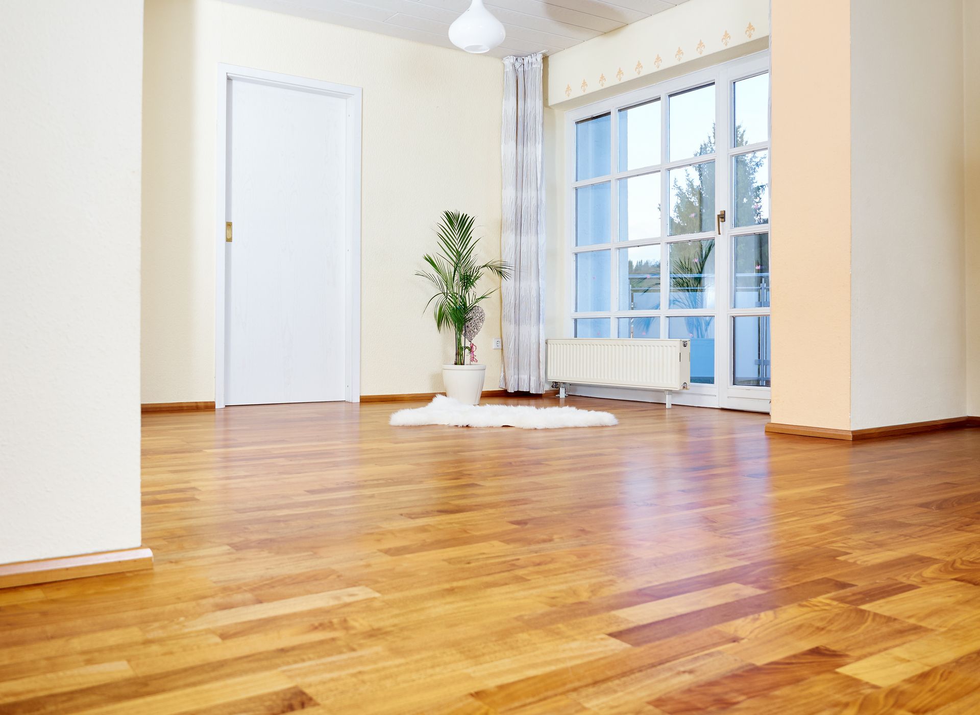 Grande pièce avec un tapis blanc sur le parquet