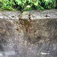 mauer nachher - LUZ Reinigung GmbH