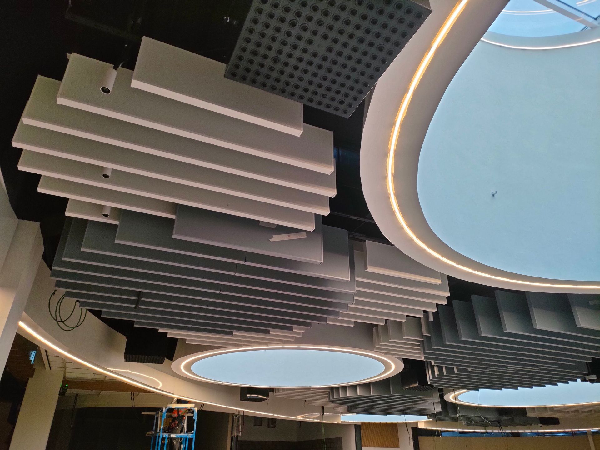 Un techo con muchos paneles acústicos colgando de él.