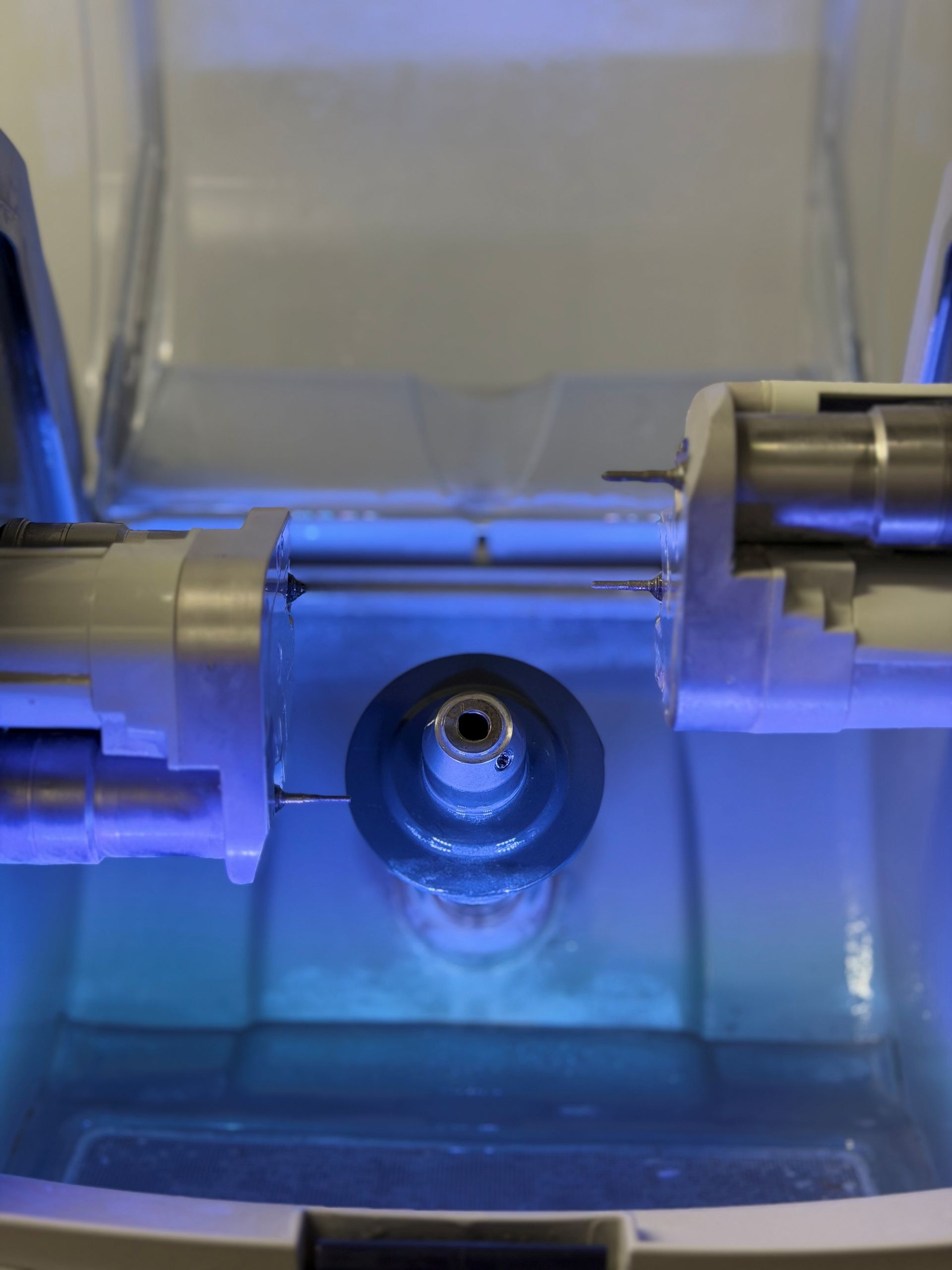 Die Hände eines Zahnarztes in blauen Handschuhen halten ein Modell einer Zahnprothese mit weissen Zähnen und rosa Zahnfleisch.