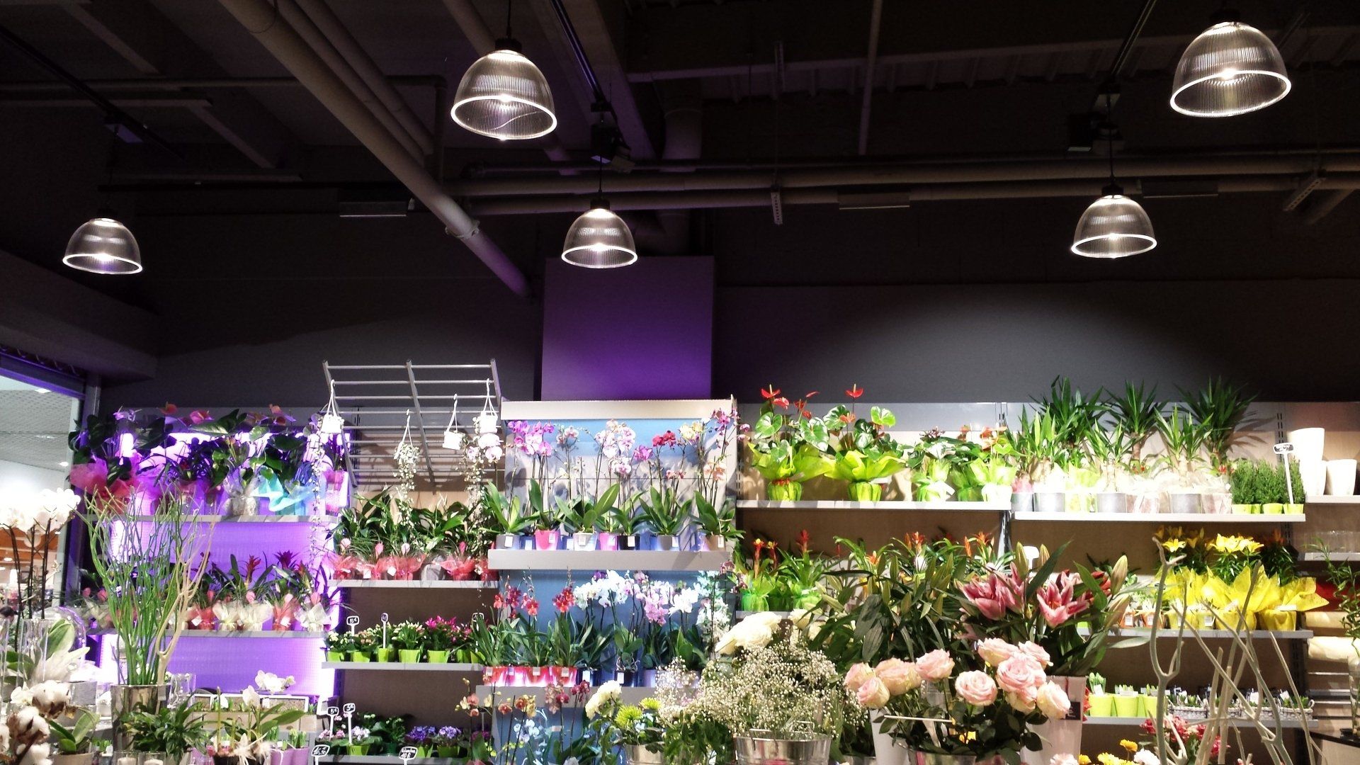 Intérieur d'un magasin