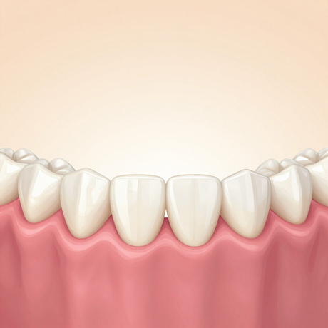 Ilustración de los dientes frontales inferiores y las encías rosadas, que muestra una correcta alineación dental.