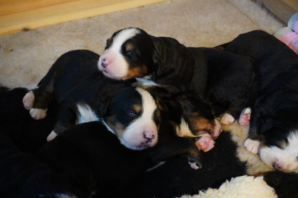 Mama Chilly-Camille vom Luegblick