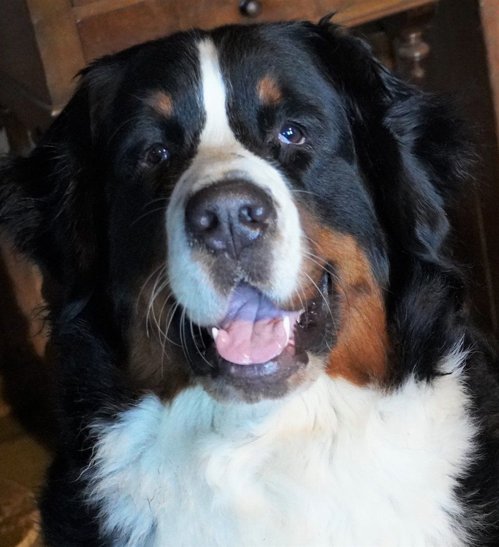 Mama Chilly-Camille vom Luegblick