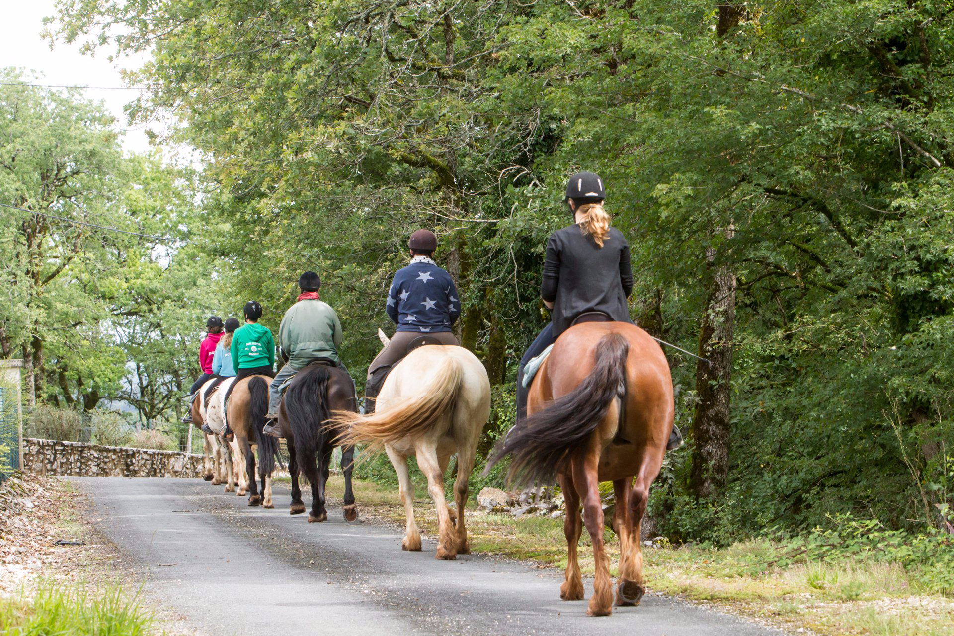 Ballade de chevaux vue de derrière