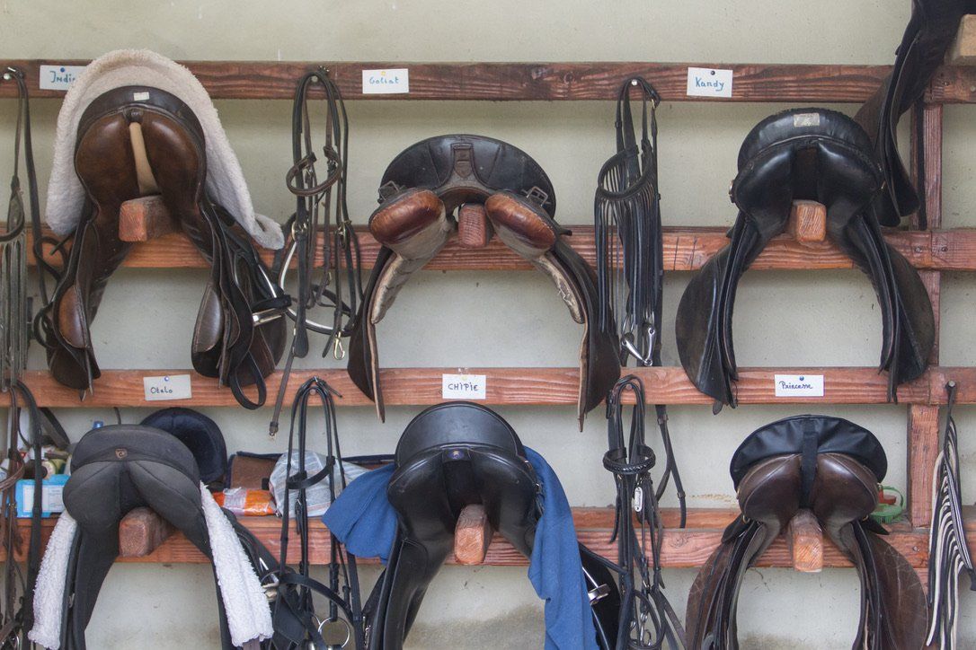 Selles de chevaux