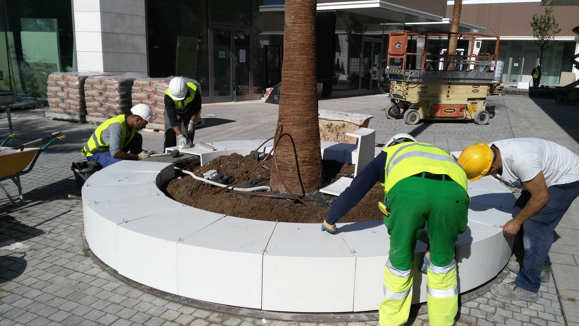 Obreros de la construcción instalan una jardinera circular alrededor de un árbol, usando cascos y chalecos de alta visibilidad, al aire libre.