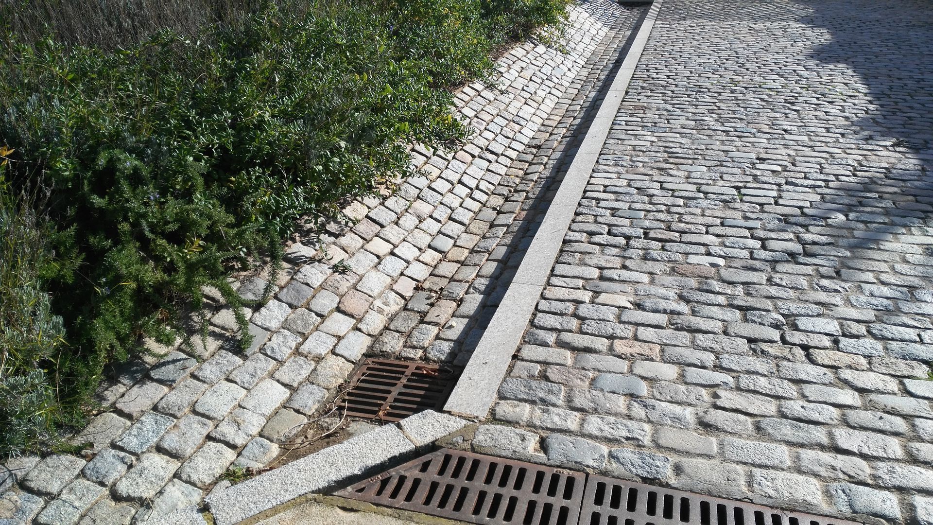 Calle adoquinada con rejillas de drenaje y borde plantado.