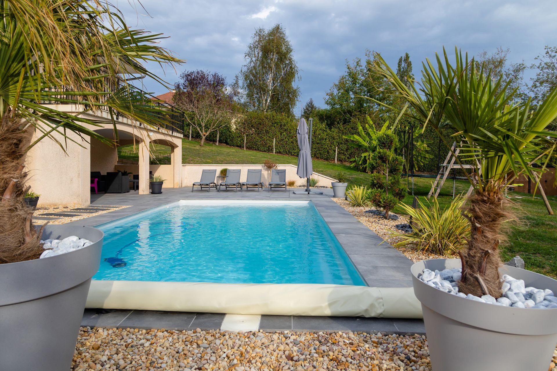 Piscine rectangulaire et palmiers dans pots 