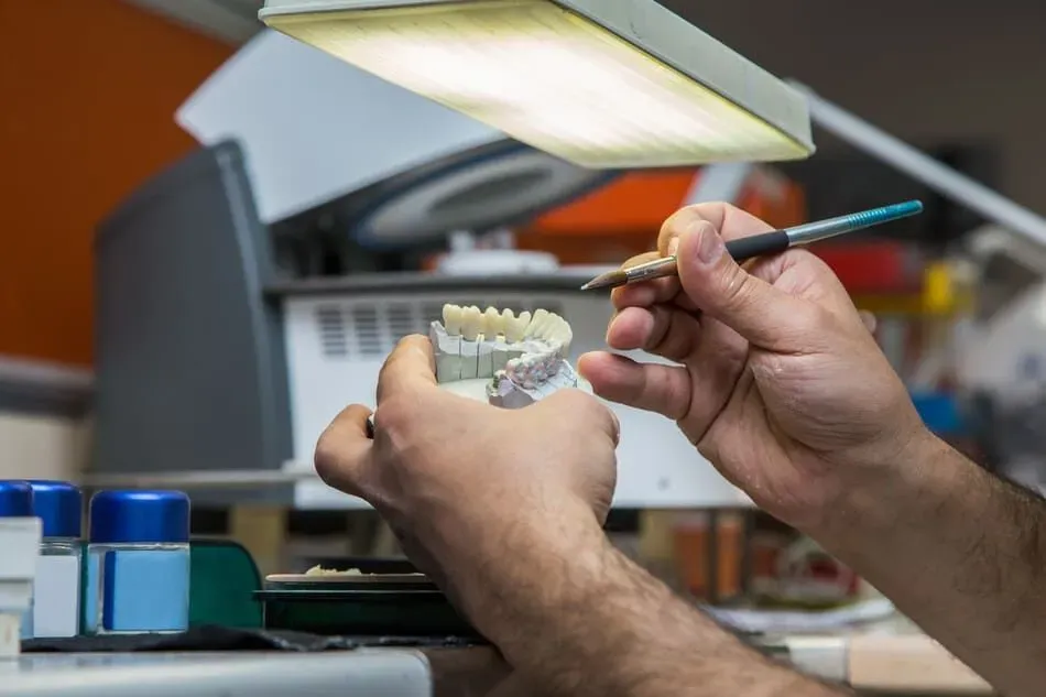 Un dentista está trabajando en un modelo de un diente con un cepillo.