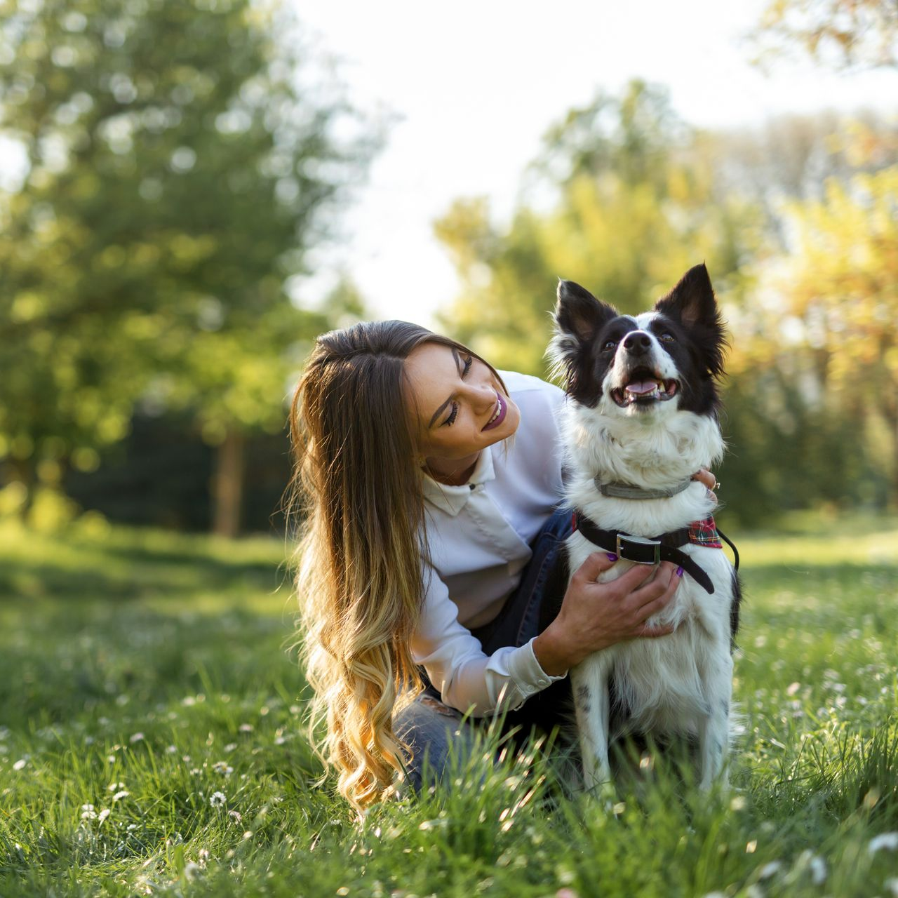 Une femme est agenouillée dans l’herbe ensoleillée à côté d’un chien noir et blanc, dans un parc verdoyant