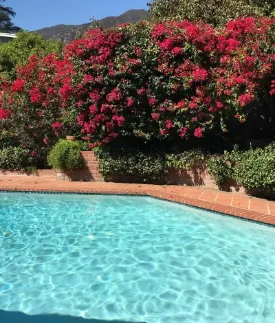 Piscina de color turquesa junto a exuberantes buganvillas rojas y vegetación en un jardín soleado.