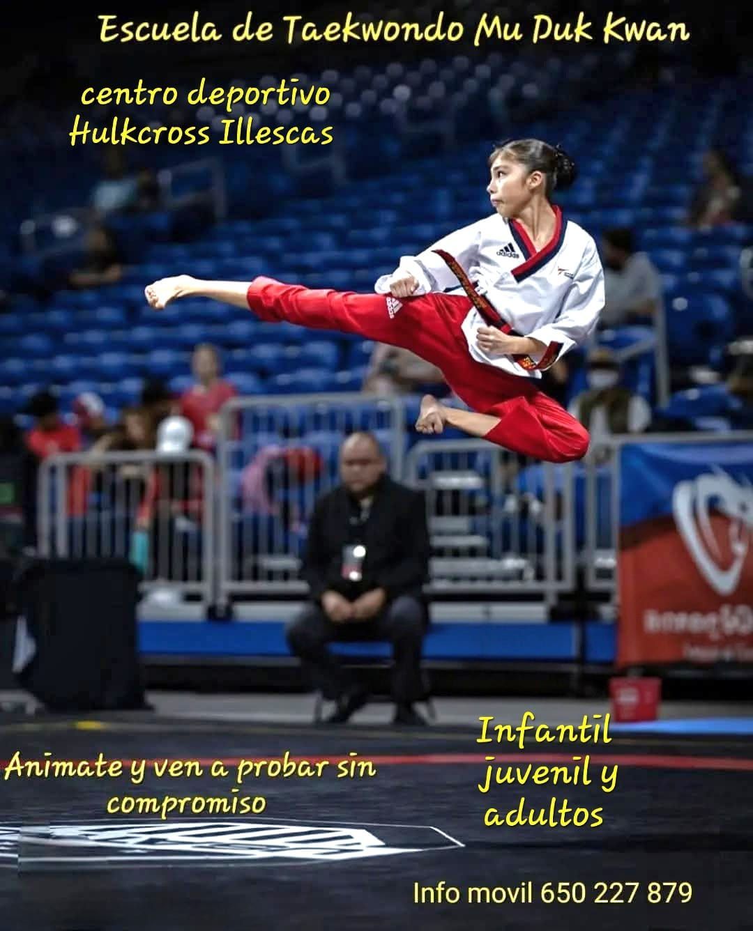 Taekwondo Illescas