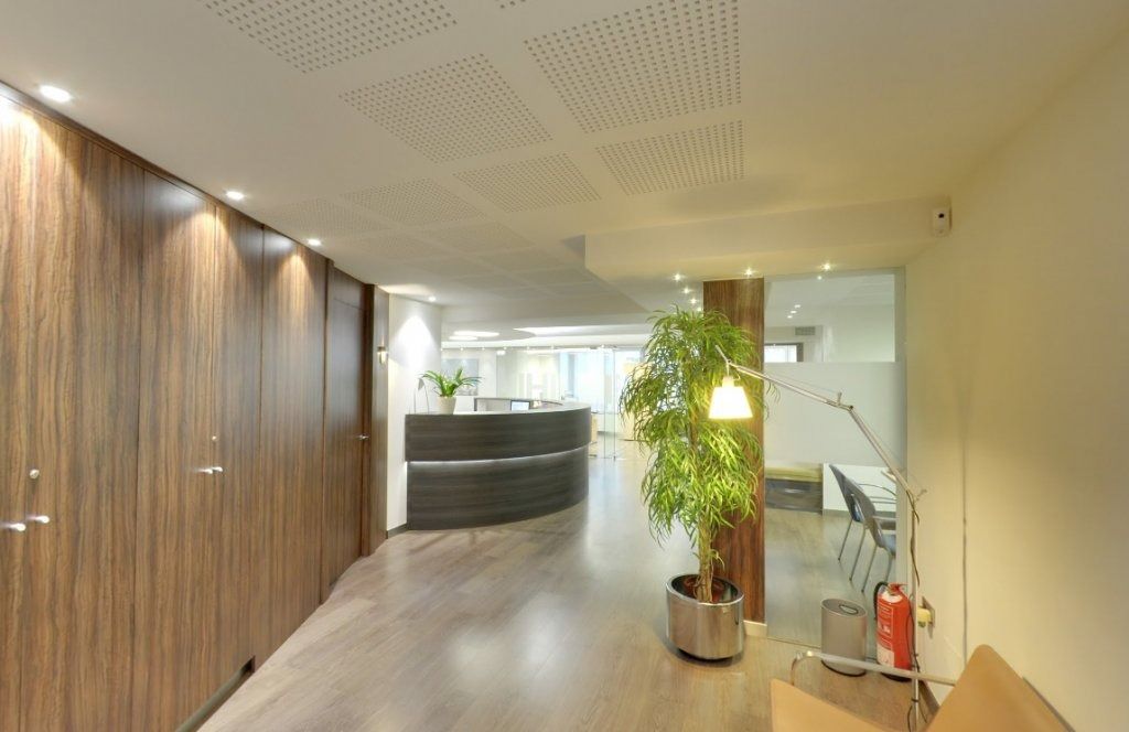 Un pasillo con un mostrador de recepción y una planta en maceta.