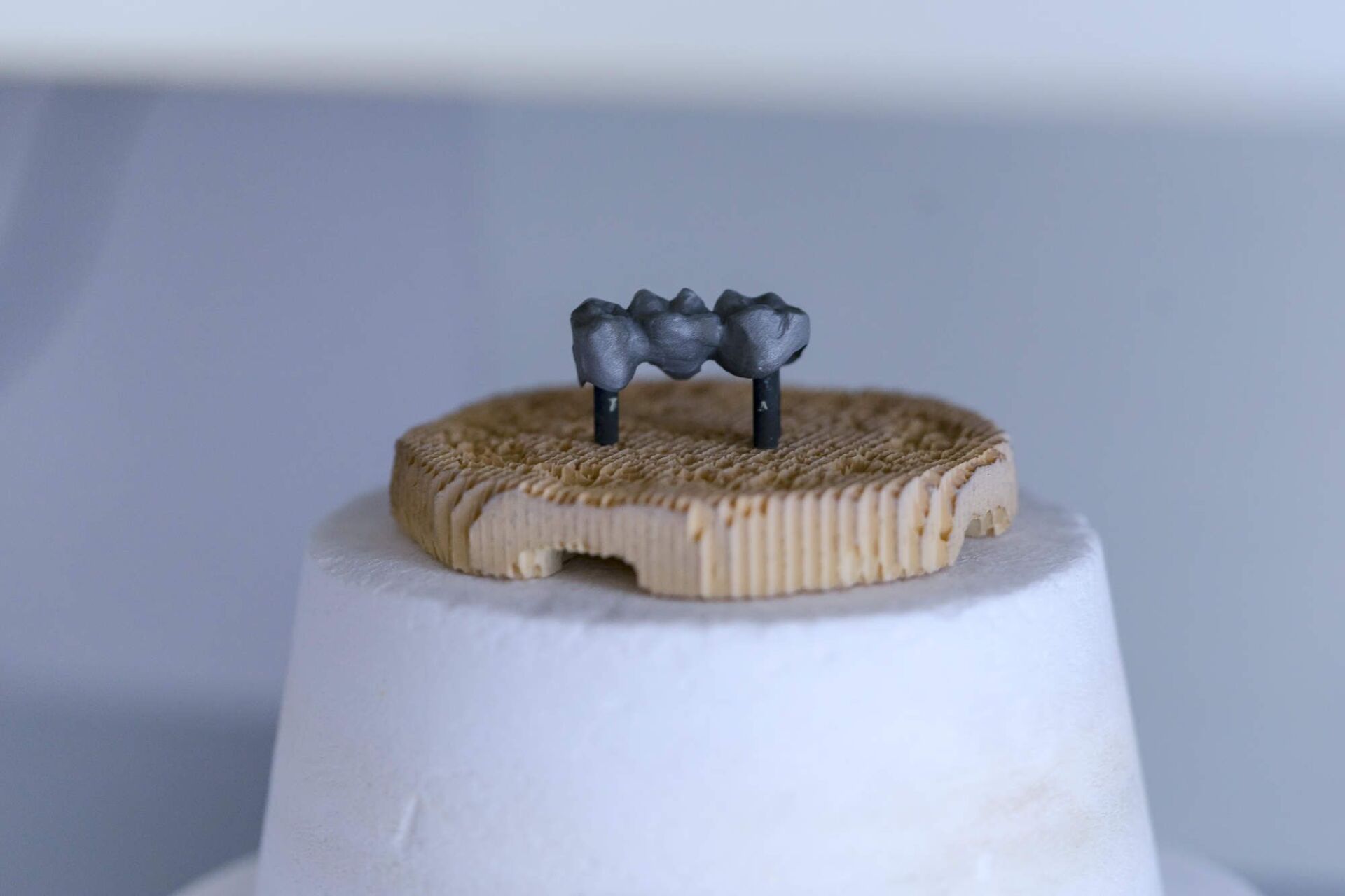 Zahnlabor Volker Hartmann