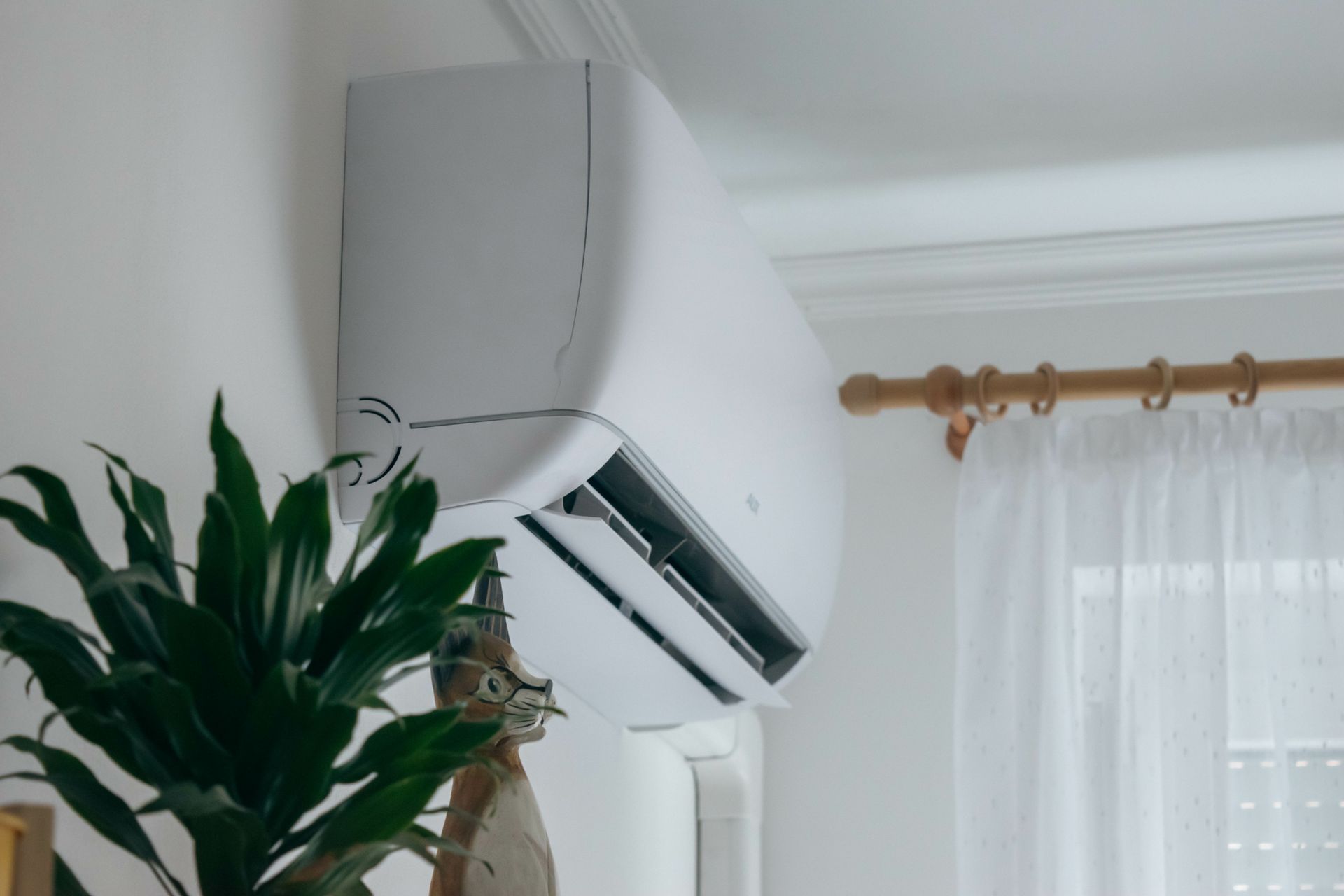 Un climatiseur mural au-dessus d'une plante d'intérieur dans une pièce lumineuse.