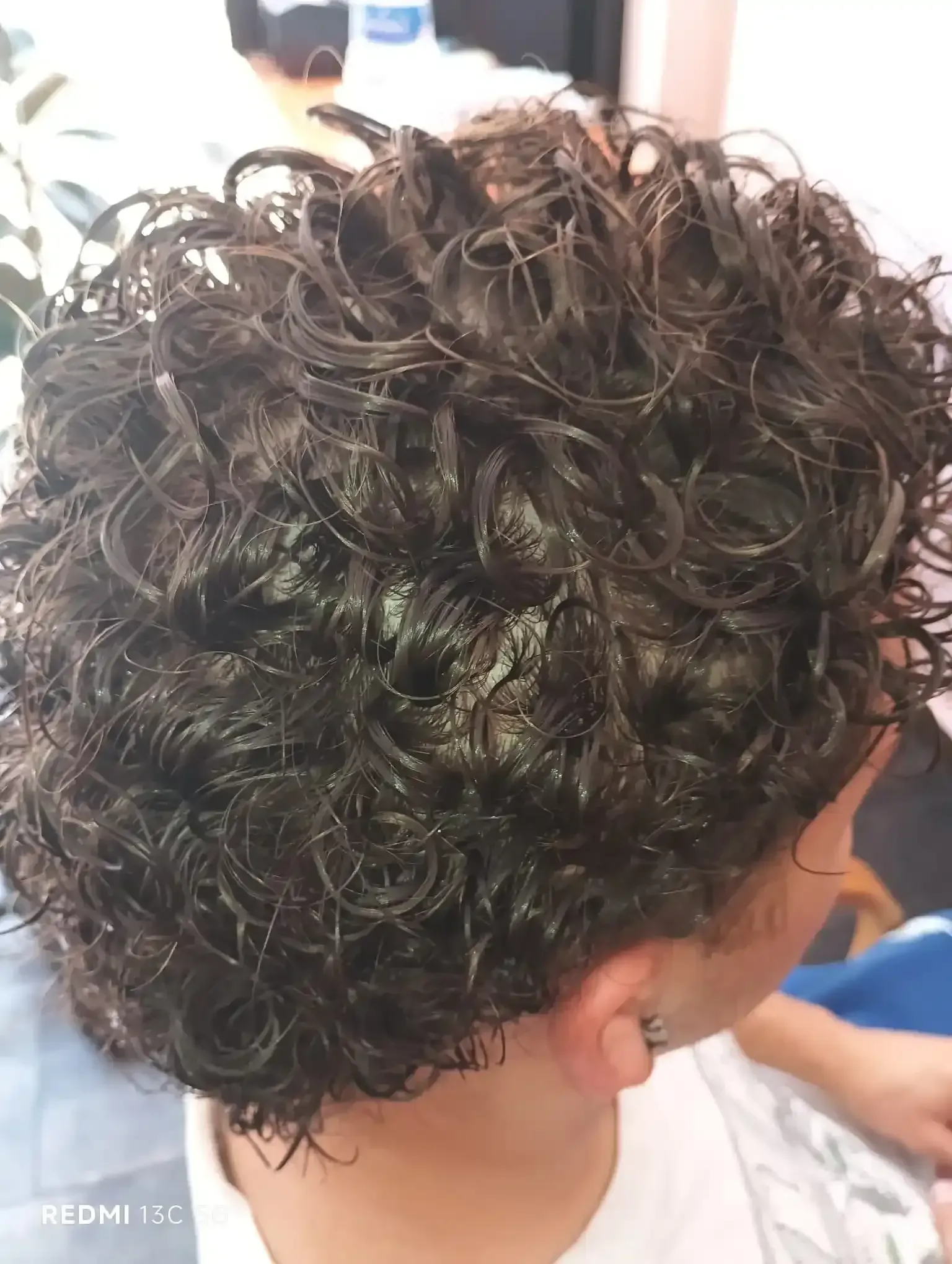 Primer plano de cabello oscuro y rizado, peinado y con aspecto mojado.