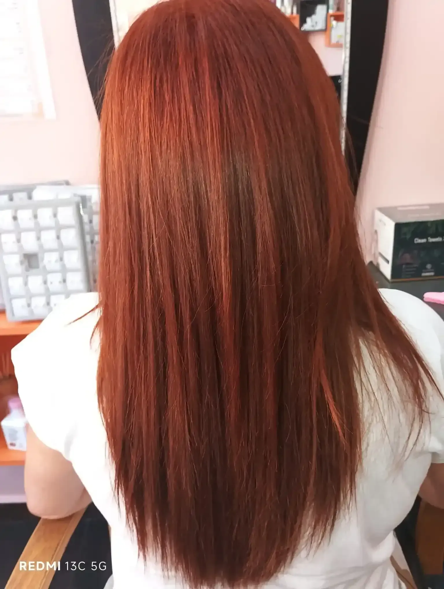 Cabello castaño rojizo, liso y largo, visto de espaldas. La persona lleva una camisa blanca en un salón de belleza.