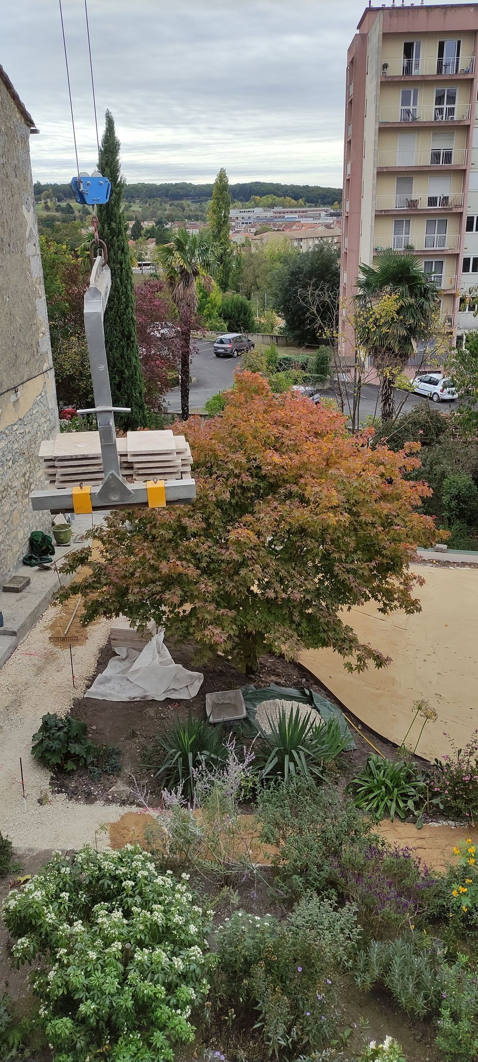 Un aménagement paysager avec des plantes