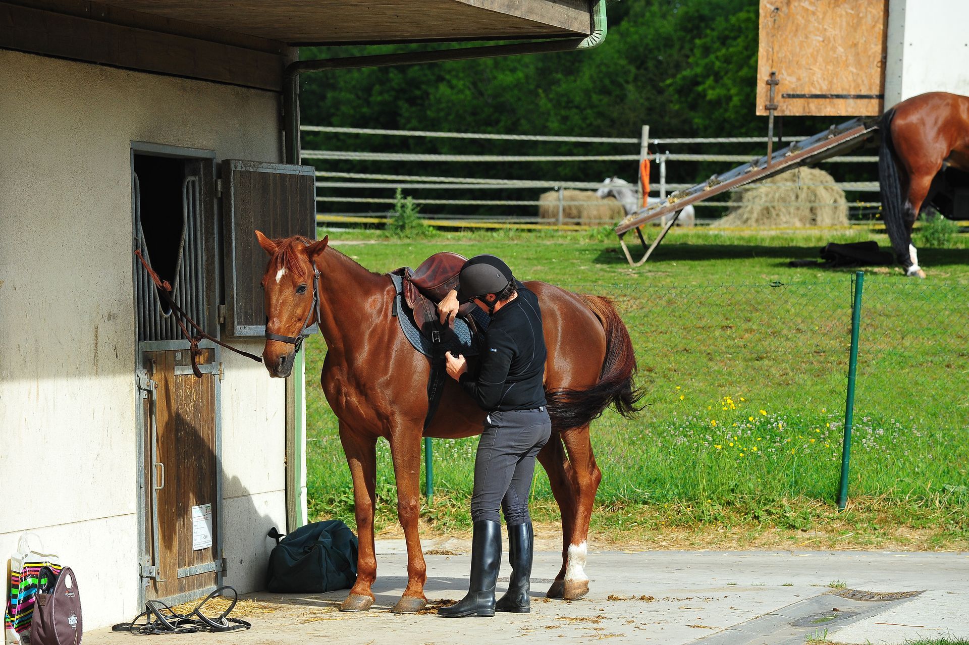 Cavalière sanglant son cheval près d'un box